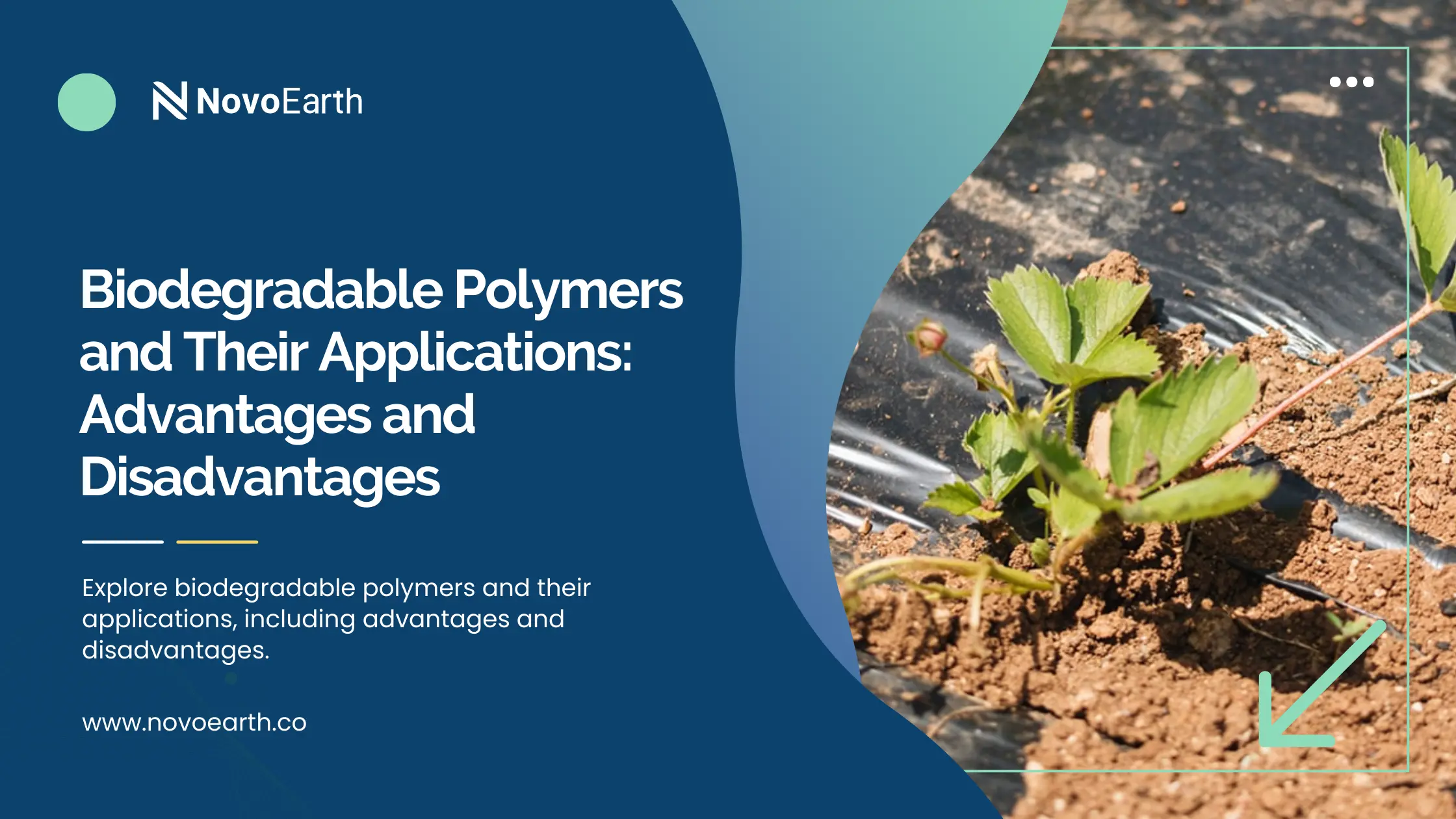 Biodegradable Polymers and Their Applications | Advantages and Disadvantages