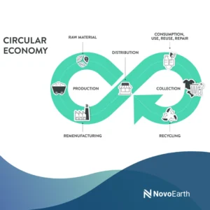 Circular economy lifecycle diagram showing raw material sourcing, production, distribution, consumption, collection, recycling, and remanufacturing in a continuous, sustainable loop.