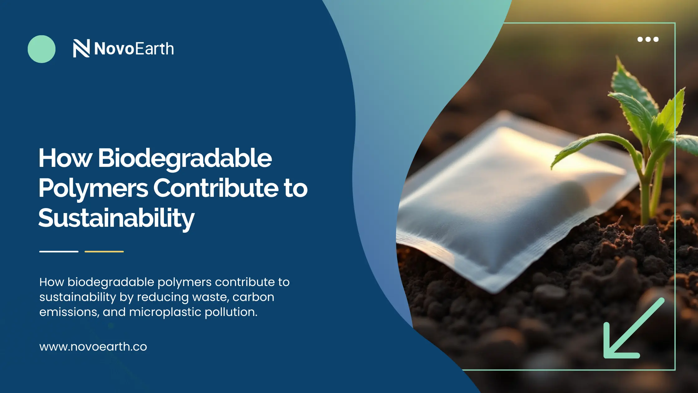 How Biodegradable Polymers Contribute to Sustainability