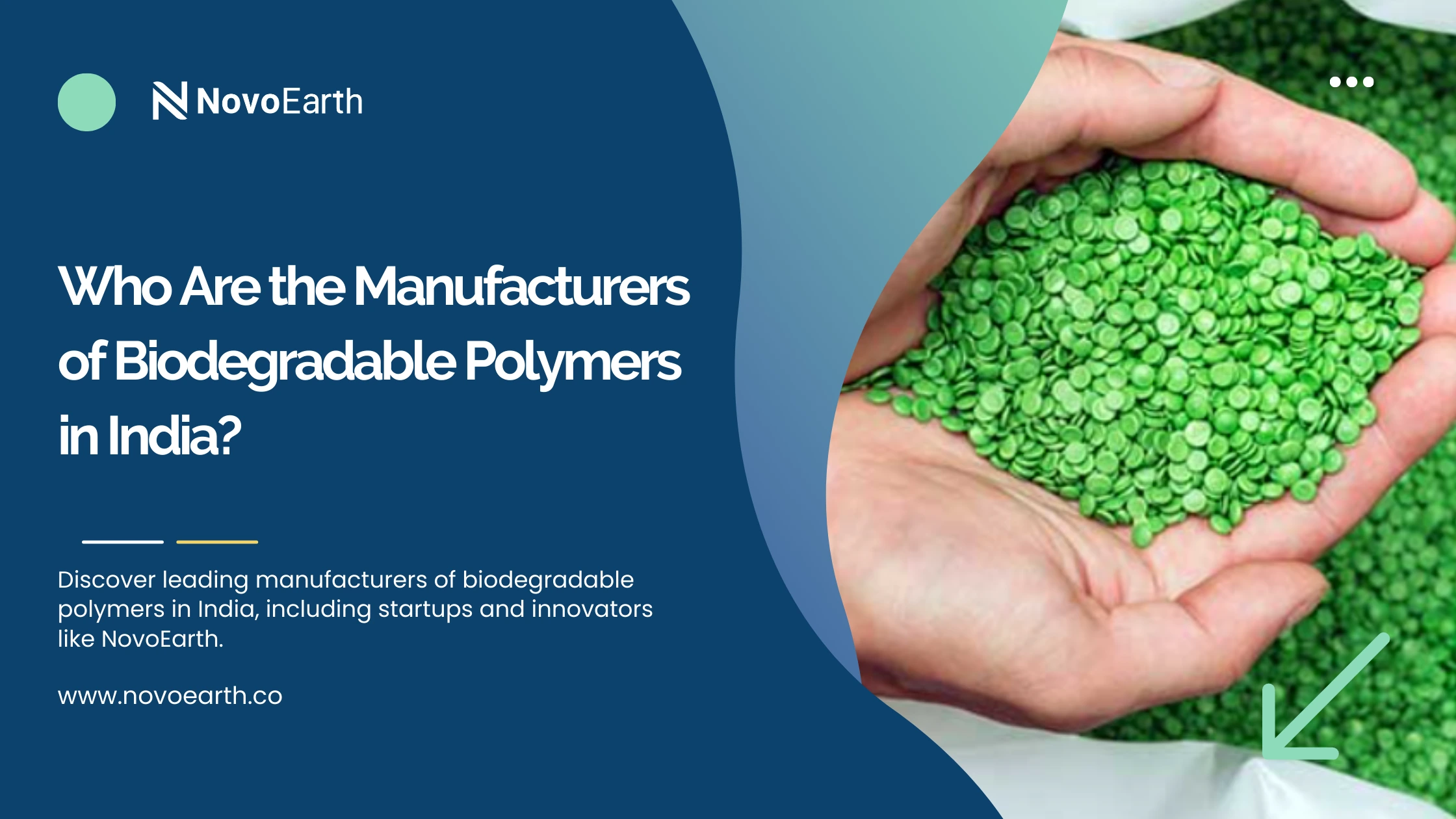 Who are the manufacturers of Biodegradable Polymers
