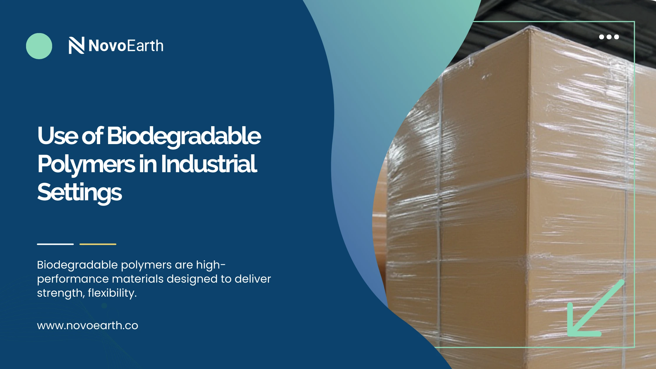 Use of Biodegradable Polymers