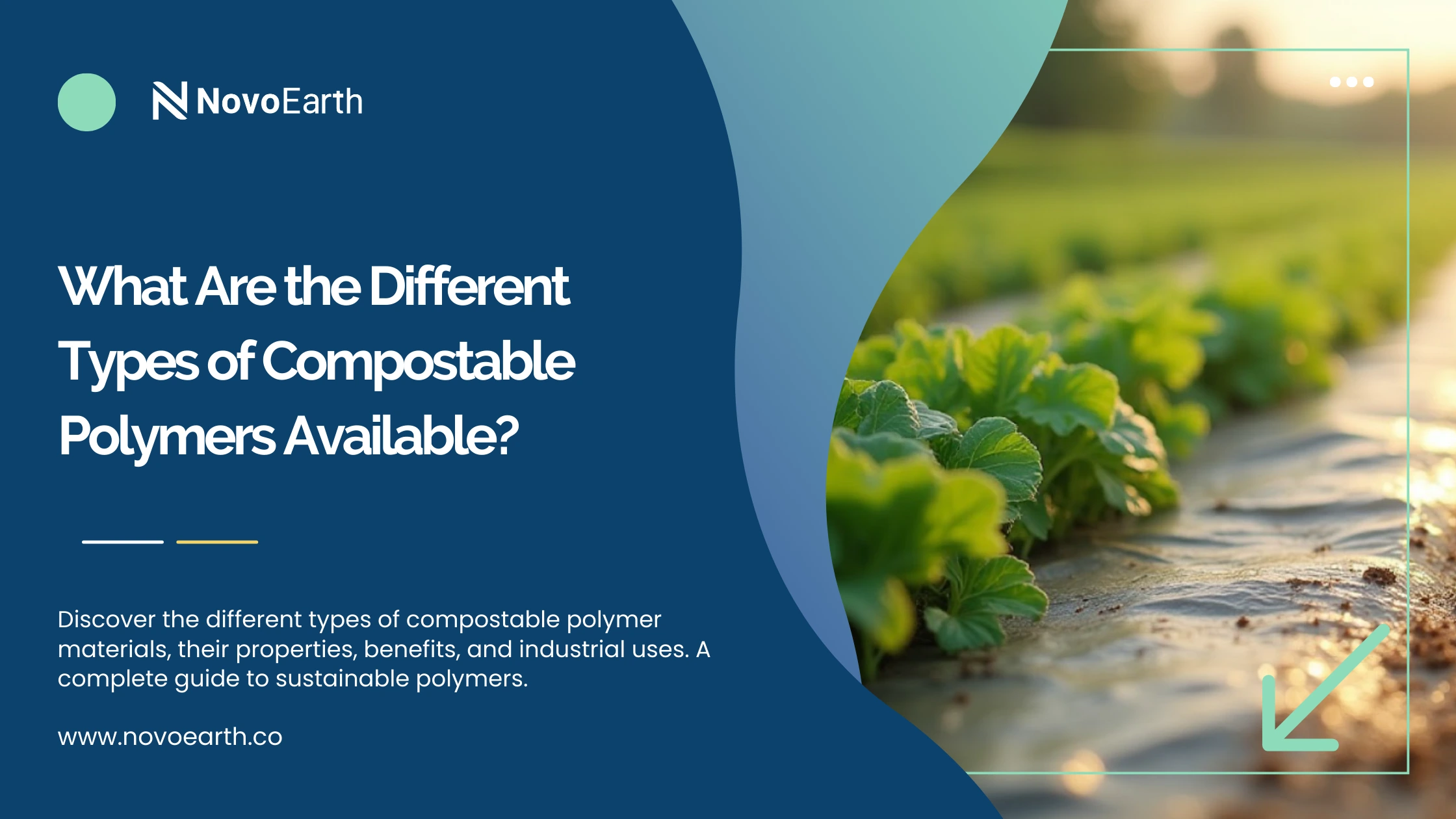 What Are the Different Types of Compostable Polymers Available