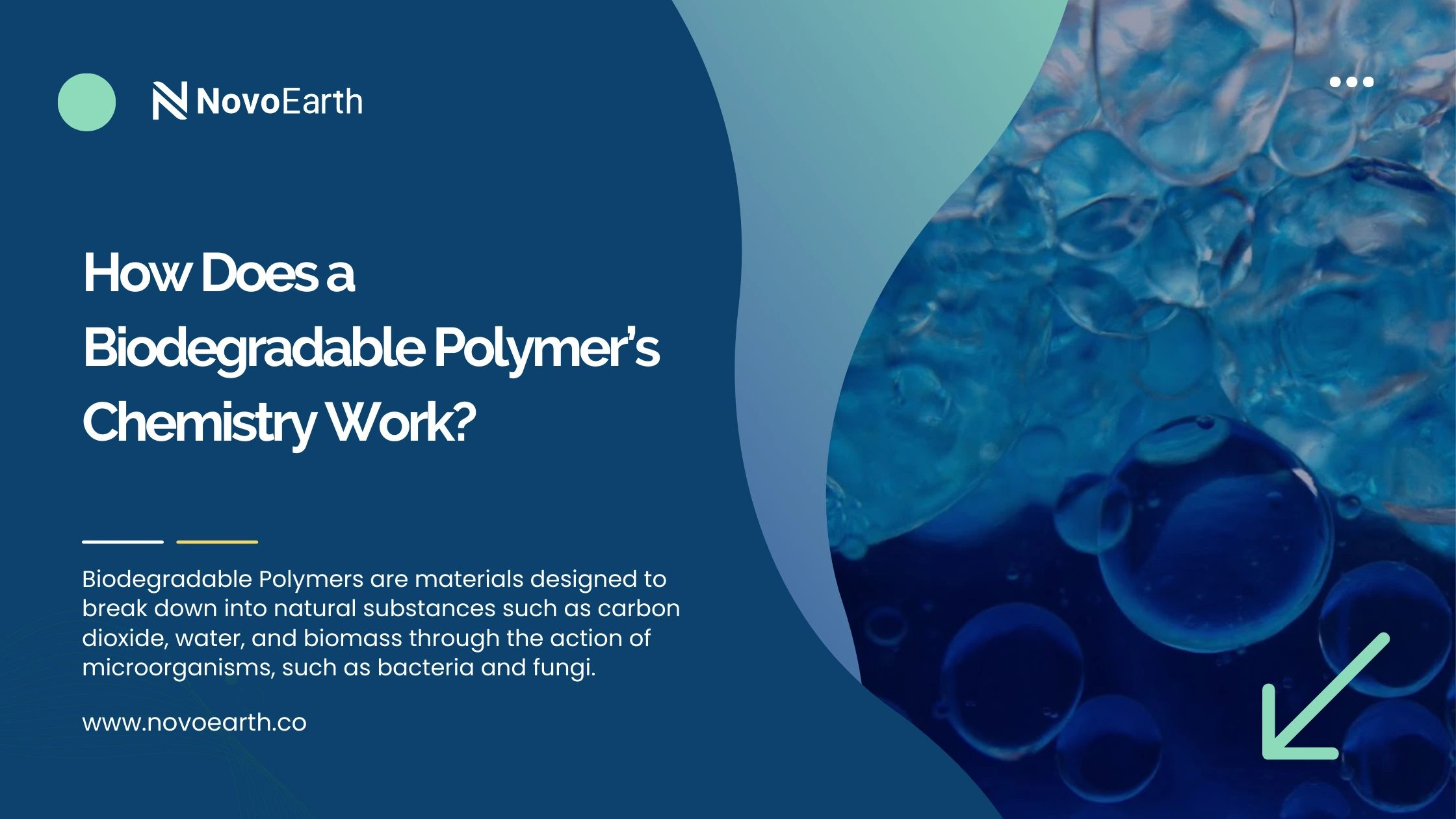 How Does a Biodegradable Polymer’s Chemistry Work?