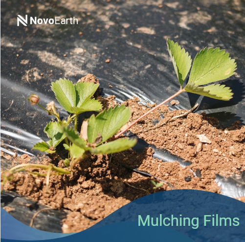 Biodegradable Mulching Films