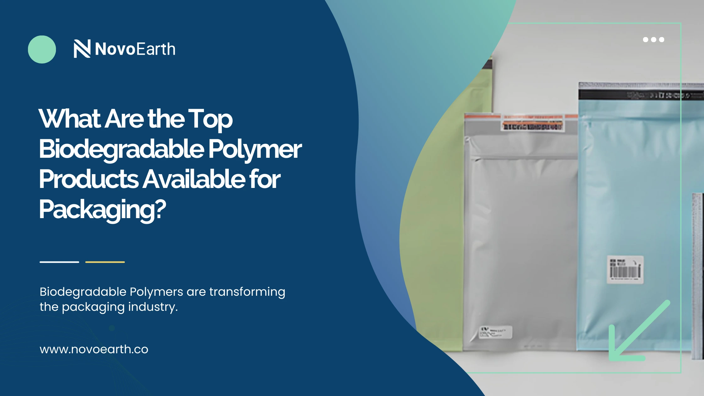 Biodegradable Polymers for Packaging