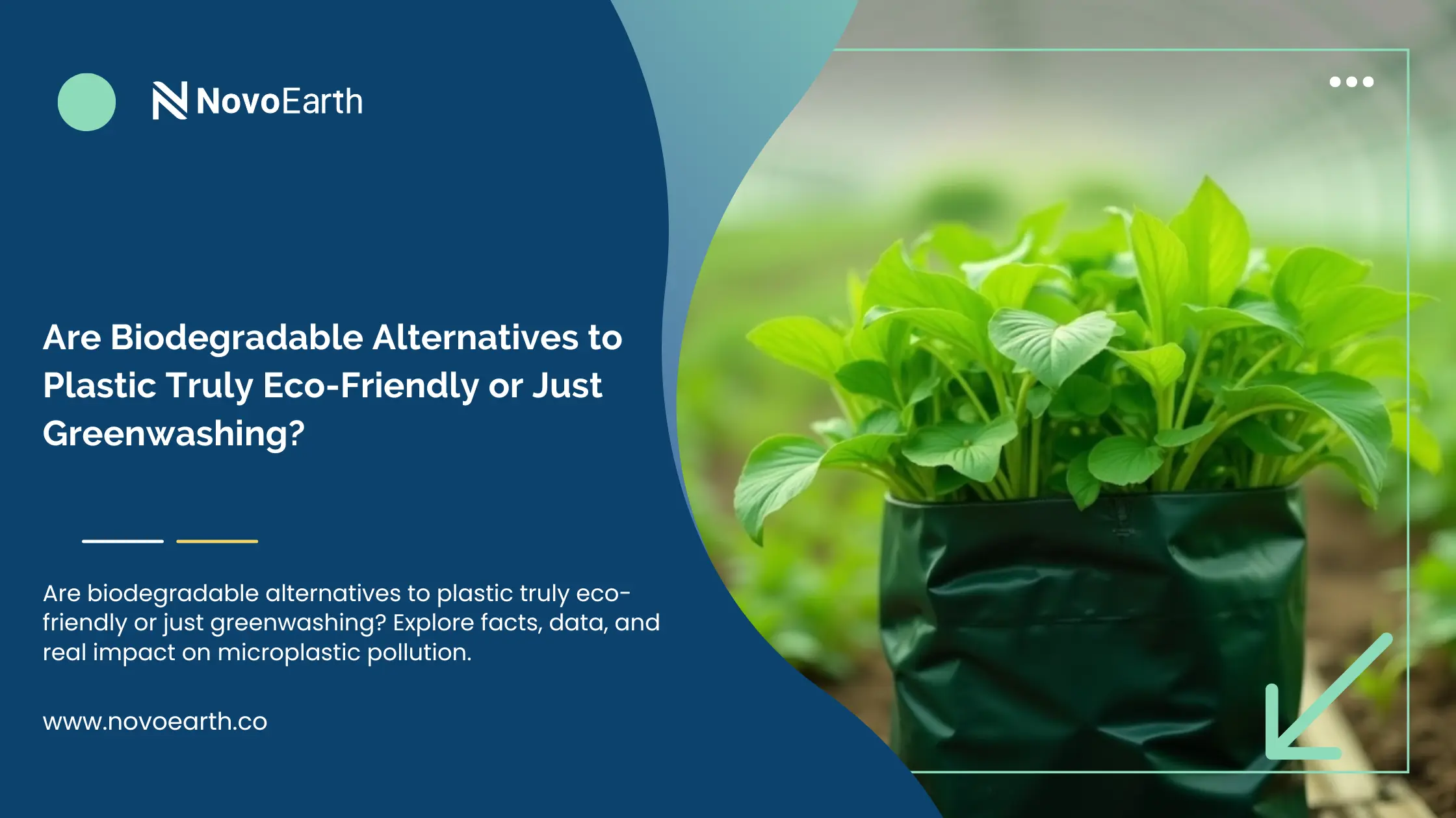 Promotional banner by NovoEarth featuring the topic biodegradable alternatives to plastic, with a green plant growing in a biodegradable polymer bag, symbolising sustainable materials and eco-friendly innovation